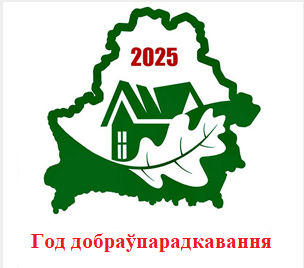 Год добраўпарадкавання