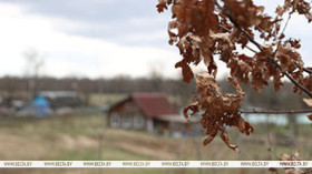 В Единый реестр пустующих домов внесено более 48 тыс. объектов