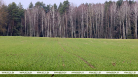 Крупко назвал цену вопроса по масштабному проекту для орошения полей на Полесье. Изучат и опыт Китая