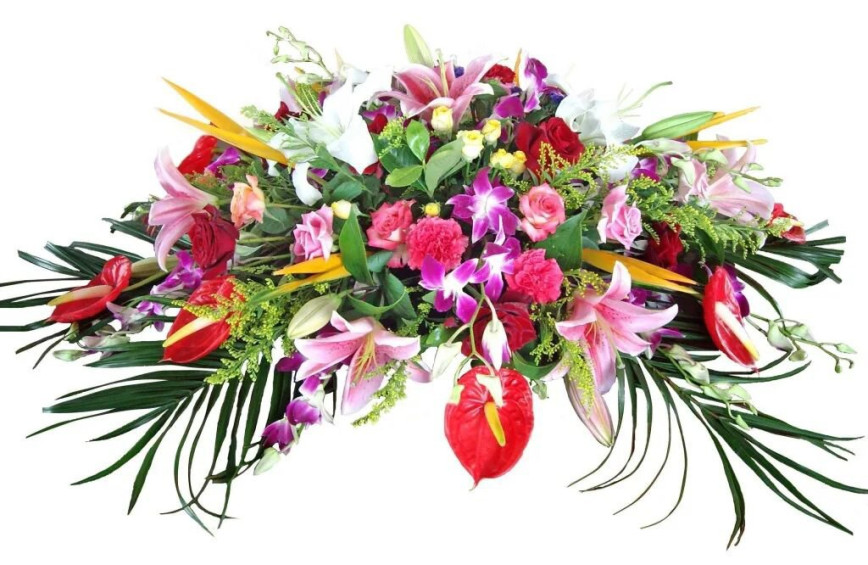 Уважаемые жители Хойникского района, примите самые добрые слова поздравления с Днем образования района!