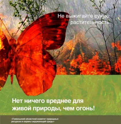 О недопущении выжигания сухой растительности