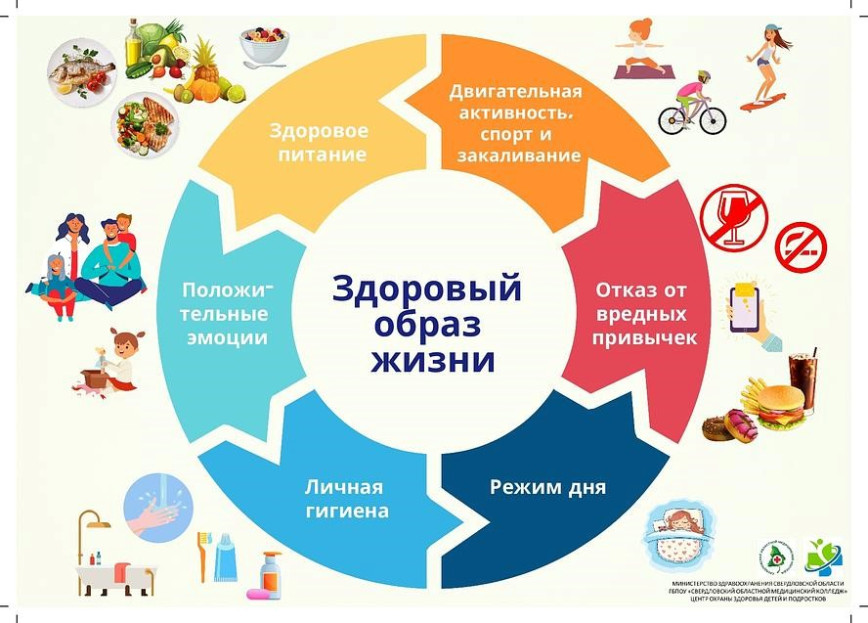 Здоровый образ жизни – главный фактор здоровья