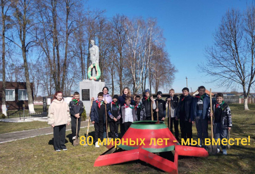 Высадка аллеи туй