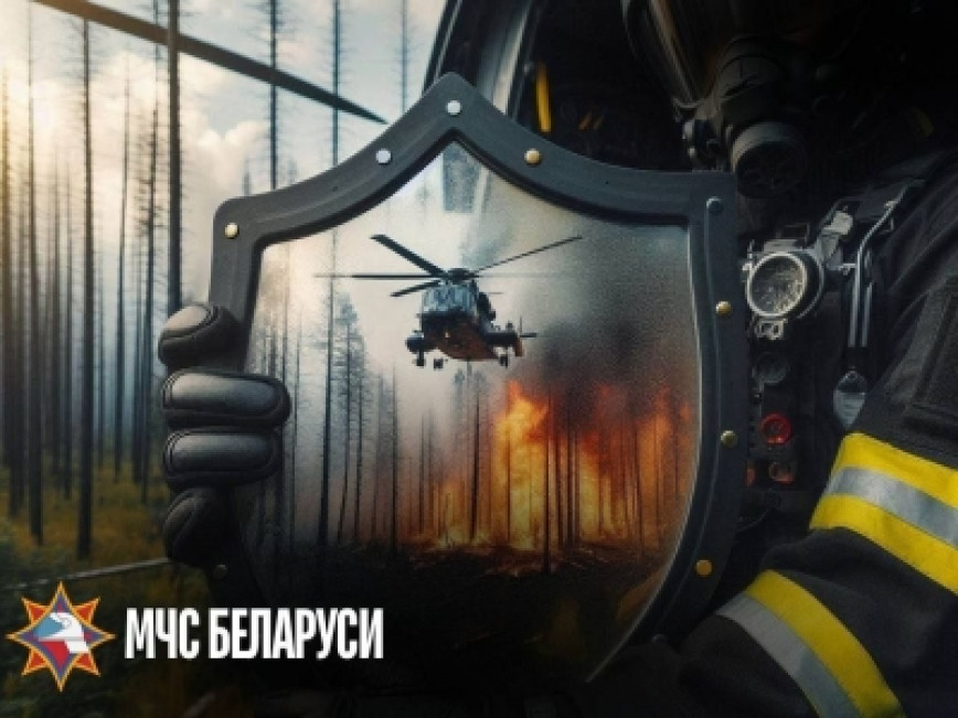 В Хойникском районе стартовало специальное профилактическое мероприятие «Зеленый щит»